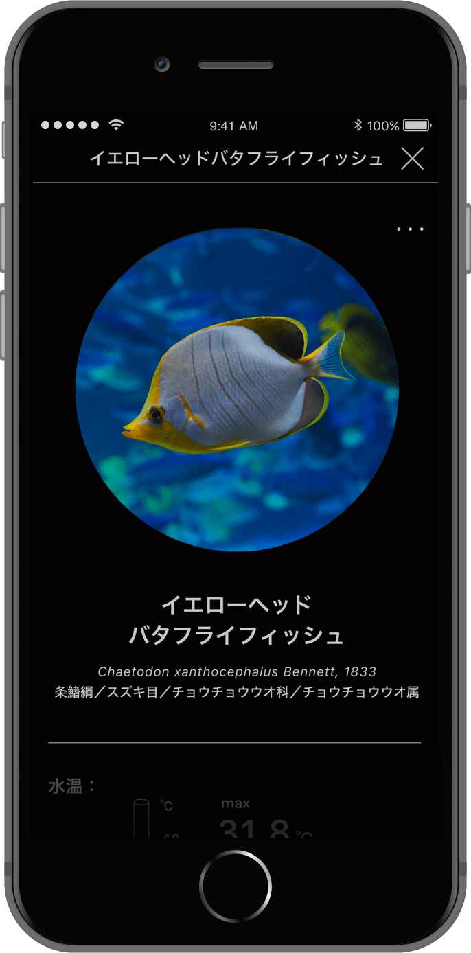 App 03
