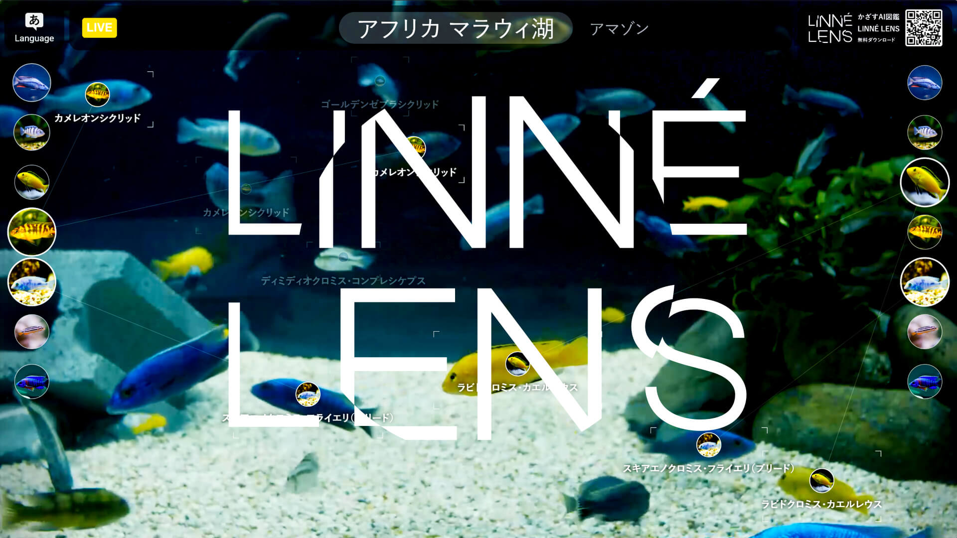 Linne Lens Screen リンネレンズスクリーン